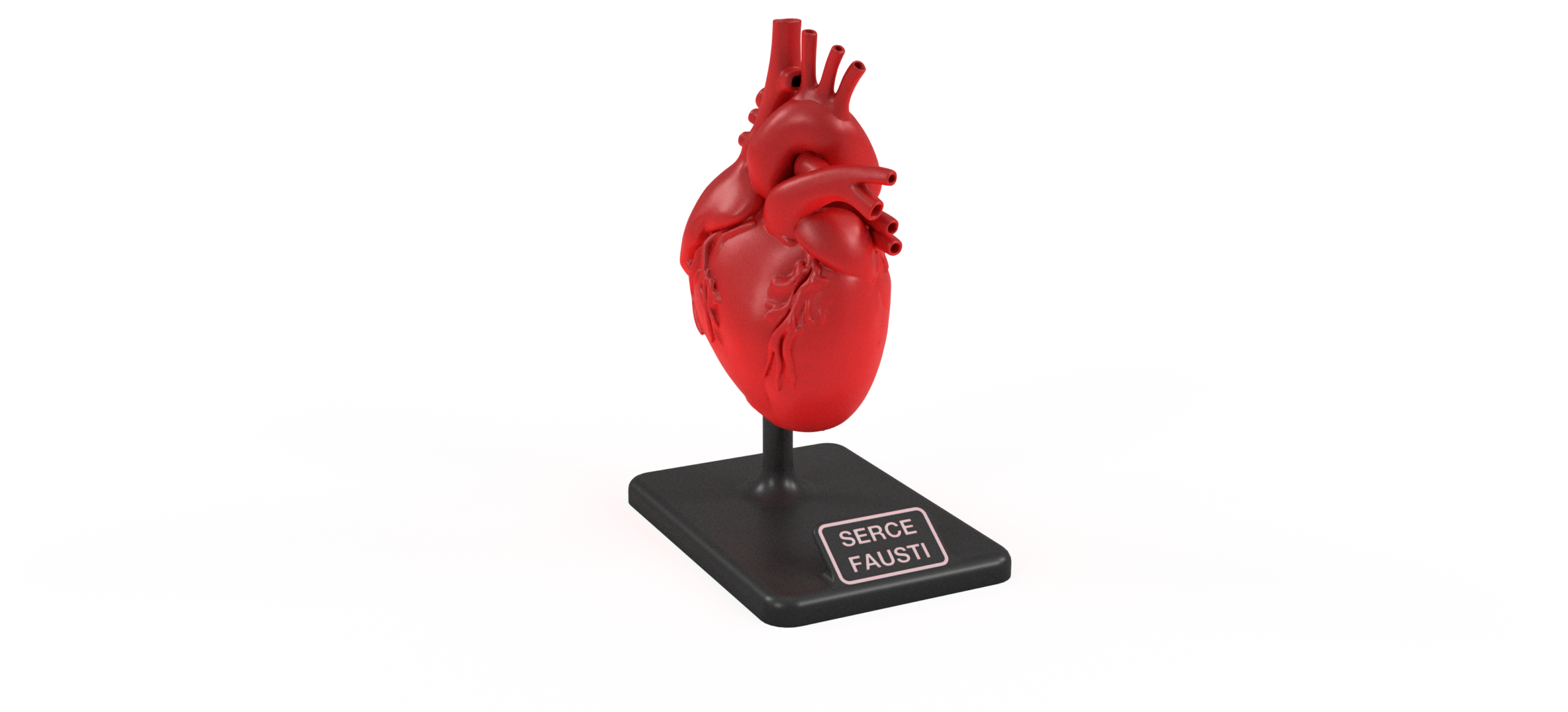 Model anatomiczny serca — druk 3D